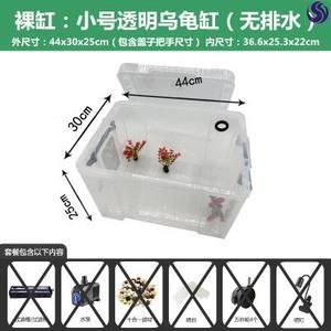 混養魚缸尺寸推薦：如何選擇合適的混養魚缸尺寸