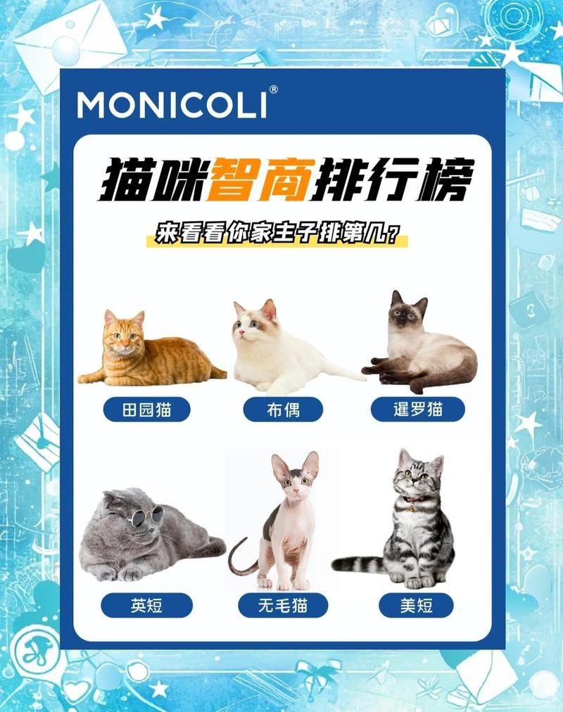 貓咪智商排名1—100，貓咪智商排行榜:最笨和最聰明的貓你養了哪種貓咪智商排行榜 貓咪智商排名1—100，貓咪智商排行榜:最笨和最聰明的貓你養了哪種貓咪智商排行榜 龍魚百科 第4張