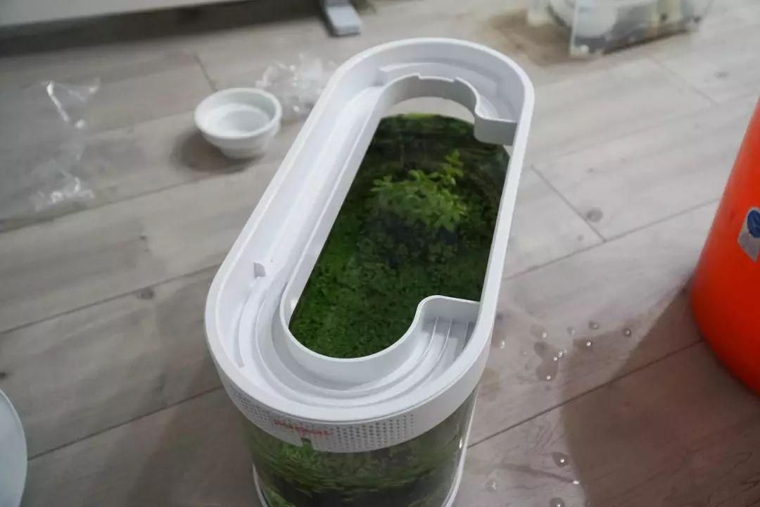 魚缸過濾材料選擇：紅磚與魚缸生態管理的重要性 魚缸過濾材料選擇：紅磚與魚缸生態管理的重要性 魚缸百科 第2張