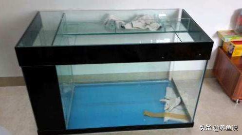 魚缸過濾材料選擇：紅磚與魚缸生態管理的重要性 魚缸過濾材料選擇：紅磚與魚缸生態管理的重要性 魚缸百科 第3張