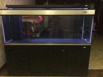 魚缸好與壞的區別圖片（關于魚缸好壞的區別，主要從以下幾個方面進行分析：）