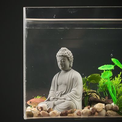 魟魚缸內布局優化技巧：在魚缸內布局的優化技巧以提高其生活質量和觀賞效果