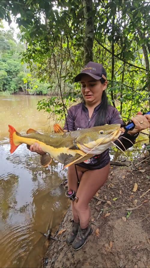 招財貓魚和龍魚的區(qū)別在哪里