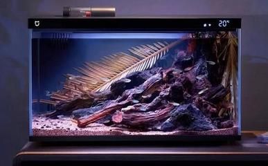 小米 智能魚缸：小米智能魚缸