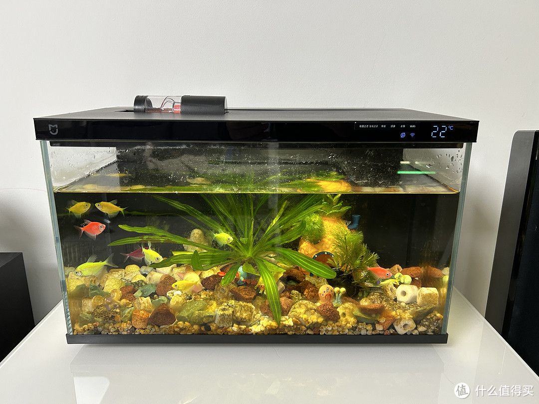 小米 智能魚缸：小米智能魚缸