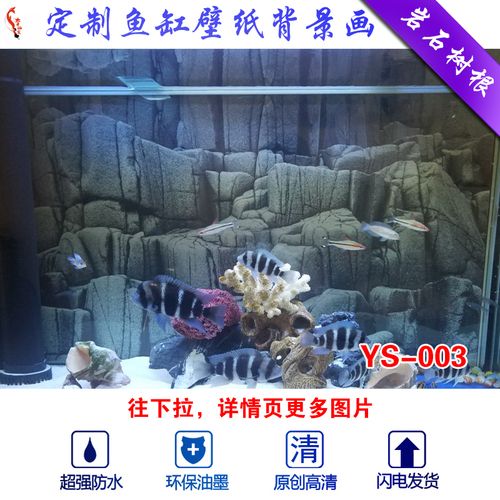 龍魚魚缸要三面都貼背景紙嗎（龍魚魚缸三面都貼背景紙嗎）