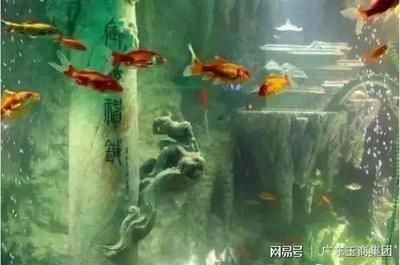 翡翠長期泡在魚缸水中怎么辦？：翡翠保養的科學方法除了泡水，還有很多科學的方法