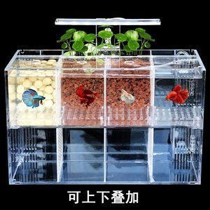 魚缸里過濾器怎樣安裝（如何安裝魚缸過濾器）