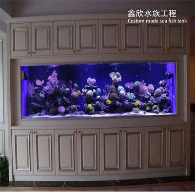 定制海鮮魚缸多少錢一盆（定制海鮮魚缸價格）