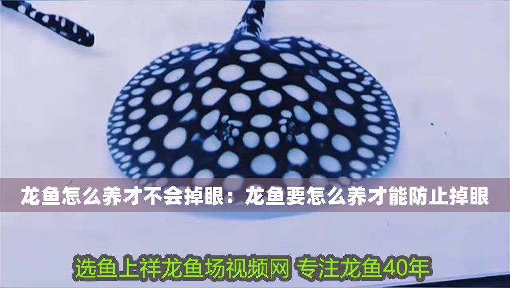 龍魚怎么養才不會掉眼:龍魚要怎么養才能防止掉眼 龍魚百科 第1張 龍魚怎么養才不會掉眼:龍魚要怎么養才能防止掉眼 龍魚怎么養才不會掉眼:龍魚要怎么養才能防止掉眼 龍魚百科 第1張