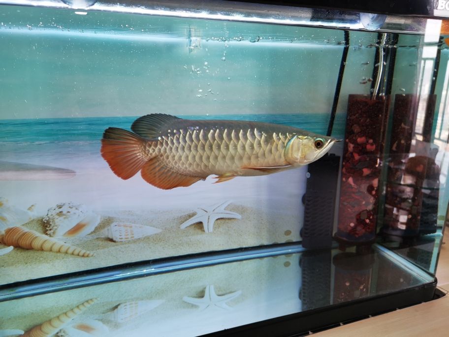 <strong><mark>深圳</mark></strong>美深威科技有限公司推廣：<strong><mark>深圳</mark></strong>市美深威科技有限公司