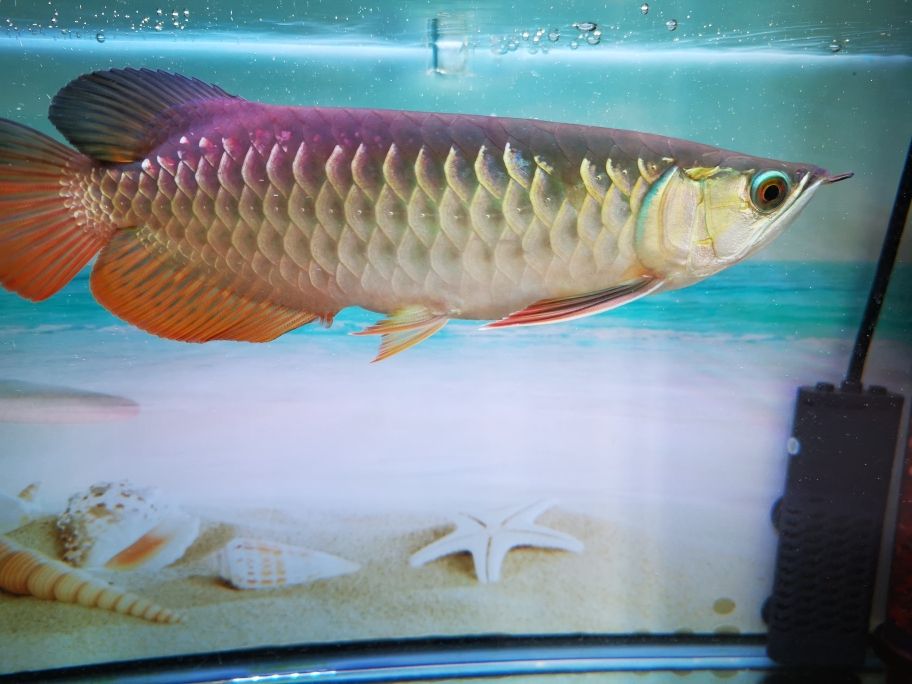 深圳美深威科技有限公司推廣：深圳市美深威科技有限公司