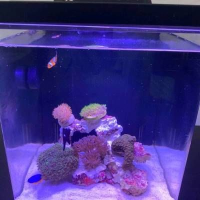 海享說魚缸：海享說魚缸與森森魚缸對比海享說魚缸智能功能演示視頻