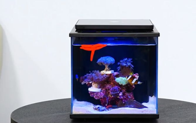 海享說魚缸：海享說魚缸與森森魚缸對比海享說魚缸智能功能演示視頻