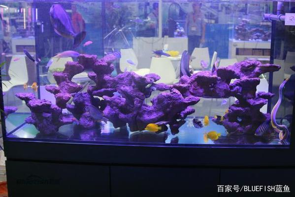 青島黃島區董增輝花卉店
