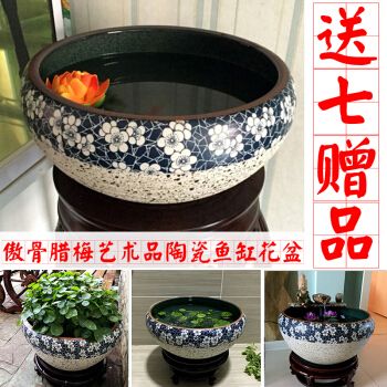 花盆改造成魚缸是一種經濟實惠的方法讓你的魚缸獨一無二：如何將花盆改造成魚缸