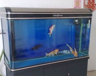 魚缸過濾桶排名：魚缸過濾桶性能對比分析魚缸過濾桶性價比排行