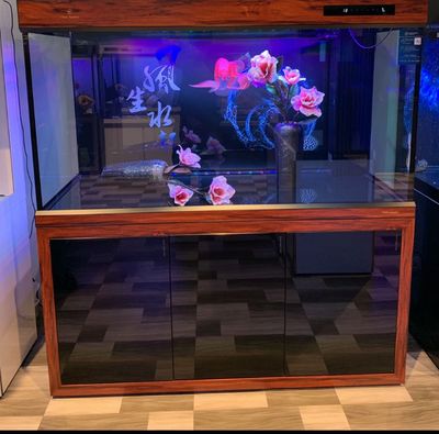 可麗愛(ài)魚(yú)缸實(shí)體店（可麗愛(ài)魚(yú)缸實(shí)體店可麗愛(ài)魚(yú)缸）