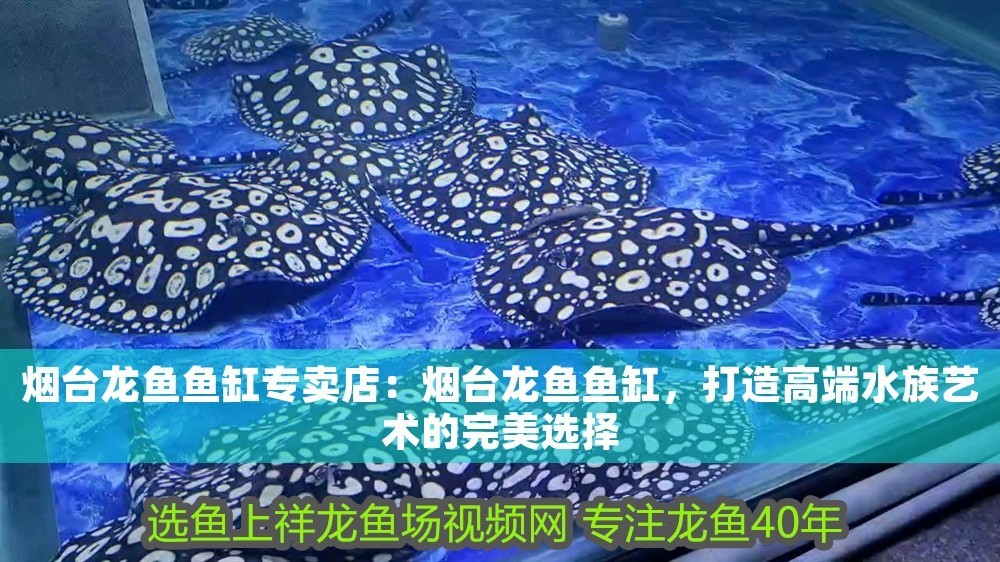 煙臺龍魚魚缸專賣店：煙臺龍魚魚缸，打造高端水族藝術(shù)的完美選擇 煙臺龍魚魚缸專賣店：煙臺龍魚魚缸，打造高端水族藝術(shù)的完美選擇 魚缸百科 第1張