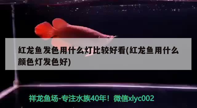 醴陵市眾發園藝有限公司（醴陵市眾發園藝有限公司招聘）