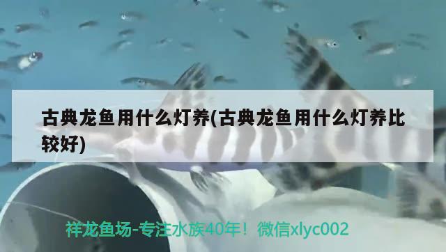 醴陵市眾發園藝有限公司（醴陵市眾發園藝有限公司招聘）