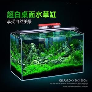 魚缸水質管理全攻略魚缸水質管理全攻略魚缸生態揭秘：如何處理魚缸中的大量棉絮狀物質