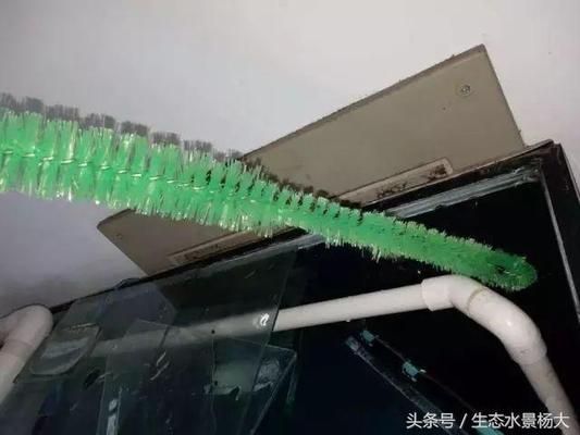 魚缸水質管理的全面指南：如何選擇合適的魚缸底濾造浪泵