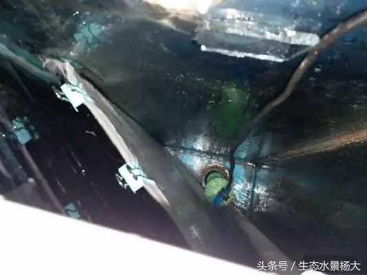 魚缸水質管理的全面指南：如何選擇合適的魚缸底濾造浪泵