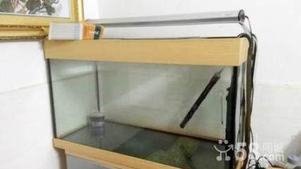 浮法玻璃魚缸的優(yōu)點：浮法玻璃在魚缸設計中的應用 浮法玻璃魚缸的優(yōu)點：浮法玻璃在魚缸設計中的應用 魚缸百科 第1張