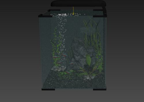 如何給魚缸換水，魚缸清潔的科學(xué)方法除了簡單的換水外：如何給魚缸換水 如何給魚缸換水，魚缸清潔的科學(xué)方法除了簡單的換水外：如何給魚缸換水 魚缸百科 第1張