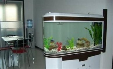 如何給魚缸換水，魚缸清潔的科學(xué)方法除了簡單的換水外：如何給魚缸換水 如何給魚缸換水，魚缸清潔的科學(xué)方法除了簡單的換水外：如何給魚缸換水 魚缸百科 第3張