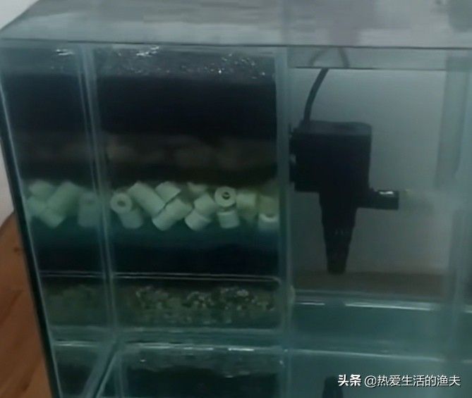 降低魚缸氨氮含量方法：如何降低魚缸氨氮含量