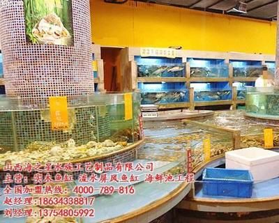 定制海鮮池魚缸 山西海之星水族滿意(山西海之星水族工藝制作有限公司) 魚缸百科 第4張 定制海鮮池魚缸 山西海之星水族滿意(山西海之星水族工藝制作有限公司) 定制海鮮池魚缸 山西海之星水族滿意(山西海之星水族工藝制作有限公司) 魚缸百科 第4張