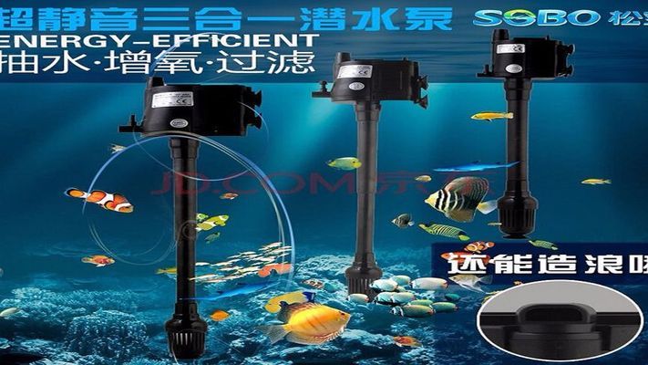 紅龍魚的價格及圖片及價格大全視頻講解（紅龍魚的價格及圖片及價格大全視頻講解下載）