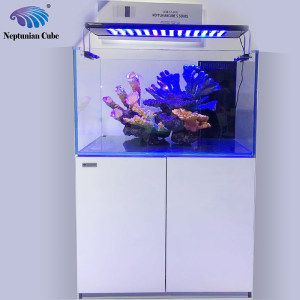 水族箱養護技巧養護水族箱養護技巧養護水族箱：如何選擇合適的海魚缸 水族箱養護技巧養護水族箱養護技巧養護水族箱：如何選擇合適的海魚缸 魚缸百科 第2張