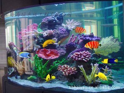 水族箱養護技巧養護水族箱養護技巧養護水族箱：如何選擇合適的海魚缸 水族箱養護技巧養護水族箱養護技巧養護水族箱：如何選擇合適的海魚缸 魚缸百科 第1張