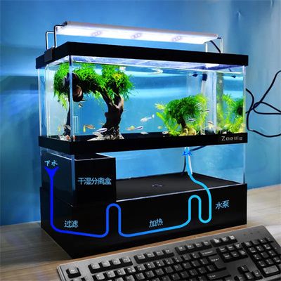 底濾魚缸的維護與管理：底濾魚缸中的糞便排水口在一定程度上可以有效去除糞便