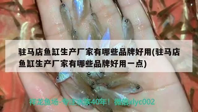 頂級紅龍魚品牌有哪些牌子的魚缸：redphoenix紅龍魚品種介紹