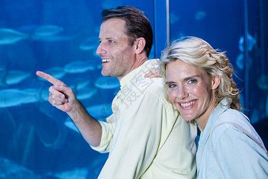 魚缸夫婦：“魚缸夫婦”在情感關系中應用“魚缸夫婦”概念的實例和建議
