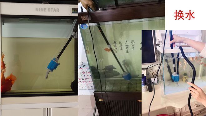 土霉素放魚缸多久水變黃，土霉素對(duì)魚缸水質(zhì)的影響 土霉素放魚缸多久水變黃，土霉素對(duì)魚缸水質(zhì)的影響 魚缸百科 第4張