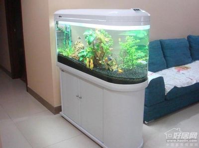 方形魚缸風水效果是指在客廳、臥室或辦公室安裝方形魚缸:方形魚缸在風水學上并不是一個理想的選擇方形魚缸 魚缸百科 第4張 方形魚缸風水效果是指在客廳、臥室或辦公室安裝方形魚缸:方形魚缸在風水學上并不是一個理想的選擇方形魚缸 方形魚缸風水效果是指在客廳、臥室或辦公室安裝方形魚缸:方形魚缸在風水學上并不是一個理想的選擇方形魚缸 魚缸百科 第4張