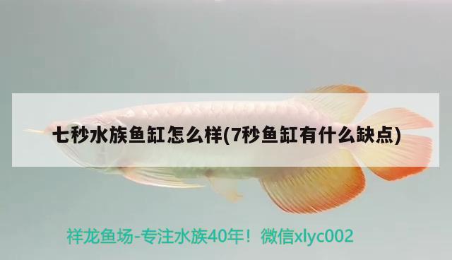 <strong><mark>杭州</mark></strong>城西花鳥工藝品市場(chǎng)清鏡水族館