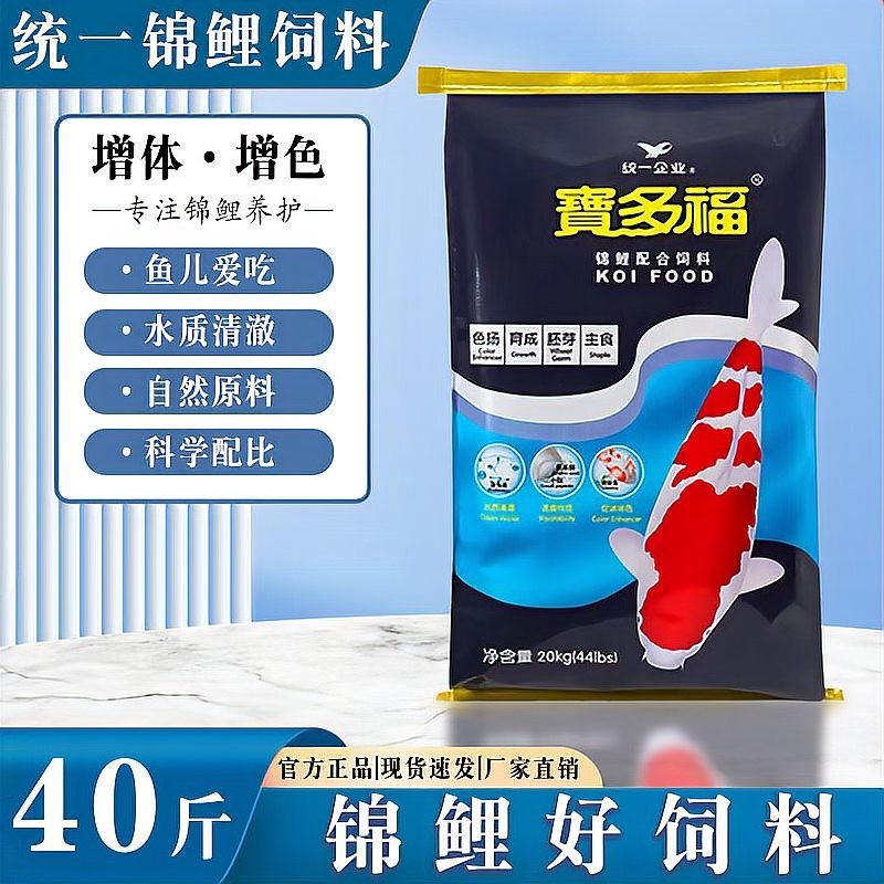 龍魚蒙眼怎么回事圖片