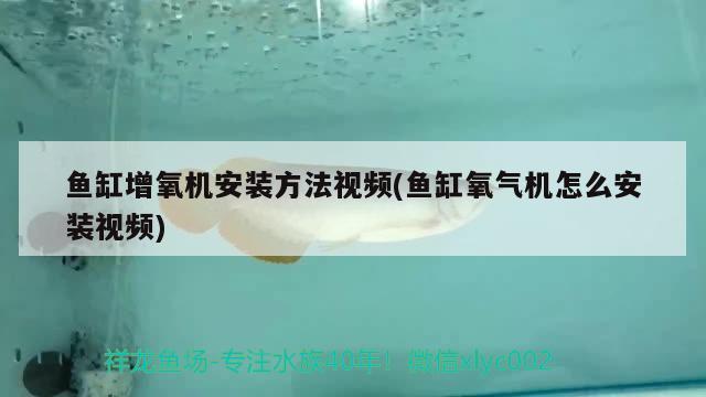 雙河市清心花店