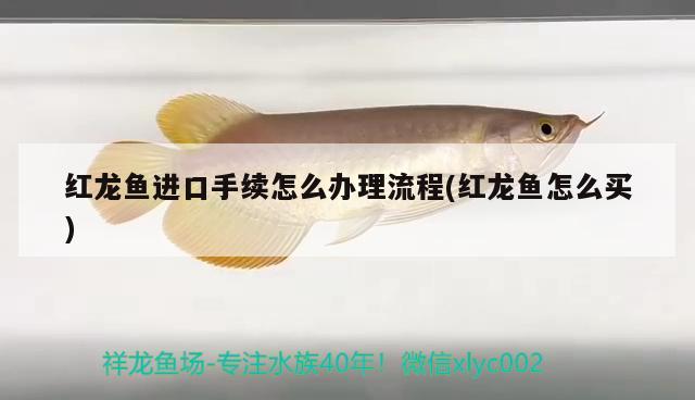 在黃島開發(fā)區(qū)哪里有賣魚缸的店(在黃島開發(fā)區(qū)哪里有賣魚缸的店鋪) 全國(guó)水族館企業(yè)名錄 第3張 在黃島開發(fā)區(qū)哪里有賣魚缸的店(在黃島開發(fā)區(qū)哪里有賣魚缸的店鋪) 在黃島開發(fā)區(qū)哪里有賣魚缸的店(在黃島開發(fā)區(qū)哪里有賣魚缸的店鋪) 全國(guó)水族館企業(yè)名錄 第3張