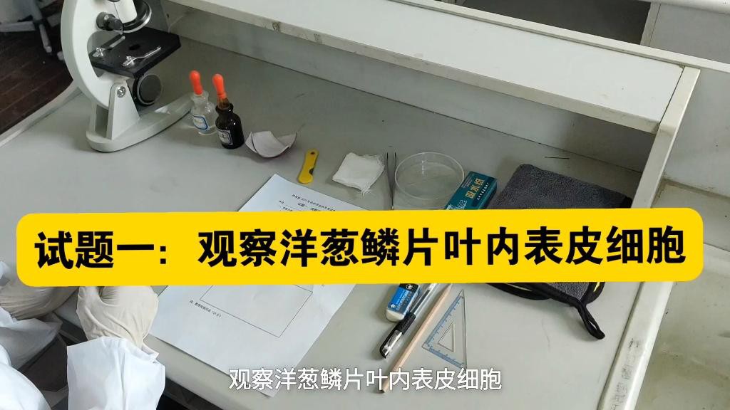 如何觀察鱗片底色