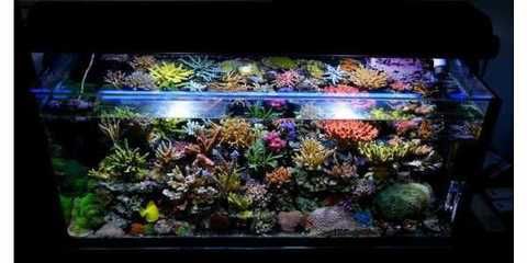 水族箱的材質選擇：2024年觀賞魚缸品牌排名榜：森森sunsun（森森sunsun）