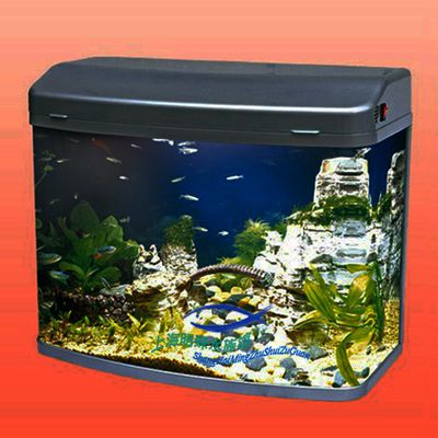 水族箱的材質選擇：2024年觀賞魚缸品牌排名榜：森森sunsun（森森sunsun）