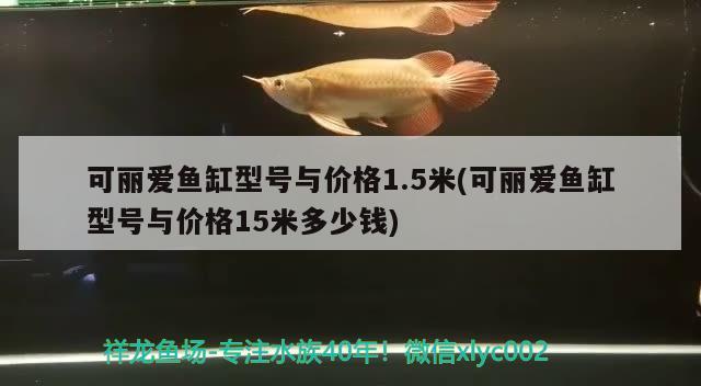 森森魚缸廠家聯系電話(森森魚缸生產地址)