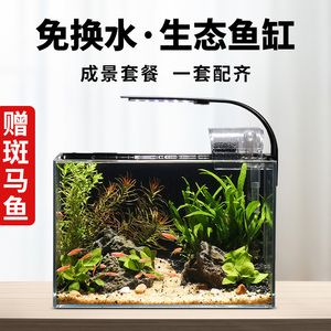 魚缸需要徹底換水嗎為什么（生態魚缸換水需要徹底換水嗎，魚缸需要徹底換水嗎）